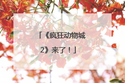 《疯狂动物城2》来了！