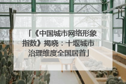 《中国城市网络形象指数》揭晓：十堰城市治理维度全国居首