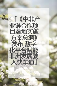 《中非产业链合作项目落地实施方案总纲》发布 数字化平台赋能非洲发展驶入快车道