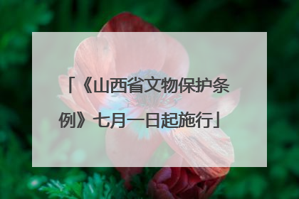 《山西省文物保护条例》七月一日起施行