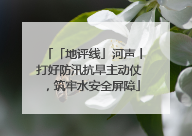 「地评线」河声丨打好防汛抗旱主动仗，筑牢水安全屏障