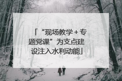 “现场教学＋专题党课”为支点建设注入水利动能