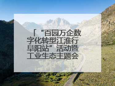 “百园万企数字化转型江淮行阜阳站”活动暨工业生态主题会议成功举办