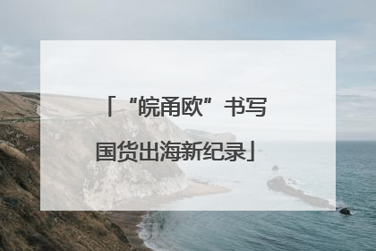“皖甬欧”书写国货出海新纪录