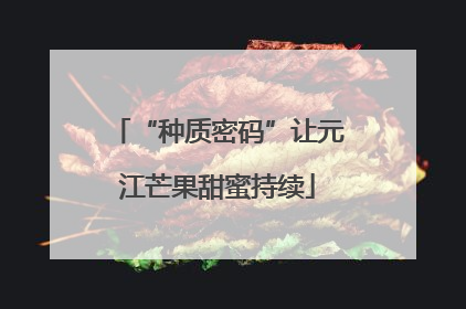 “种质密码”让元江芒果甜蜜持续