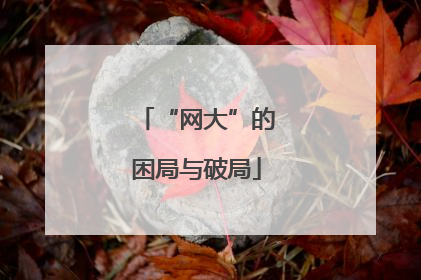 “网大”的困局与破局
