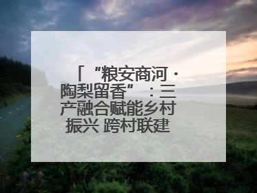 “粮安商河・陶梨留香”：三产融合赋能乡村振兴 跨村联建绘就共富画卷