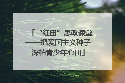 “红田”思政课堂——把爱国主义种子深植青少年心田