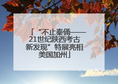 “不止秦俑——21世纪陕西考古新发现”特展亮相美国加州