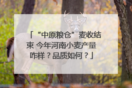 “中原粮仓”麦收结束 今年河南小麦产量咋样？品质如何？