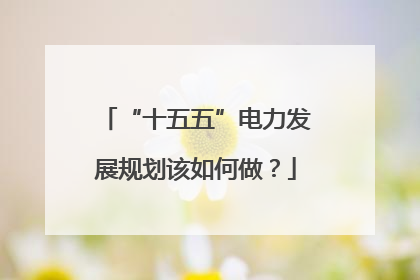 “十五五”电力发展规划该如何做？