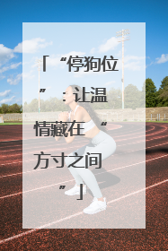 “停狗位 ”：让温情藏在 “方寸之间 ”