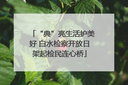 “典”亮生活护美好 白水检察开放日架起检民连心桥
