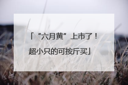 “六月黄”上市了！超小只的可按斤买