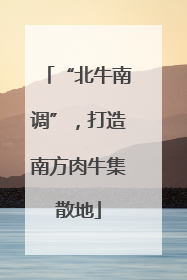 “北牛南调”，打造南方肉牛集散地