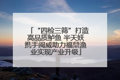 “四检三筛”打造高品质鲈鱼 半天妖携手闽威助力福鼎渔业实现产业升级