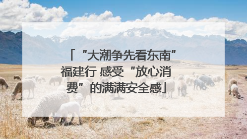 “大潮争先看东南”福建行 感受“放心消费”的满满安全感