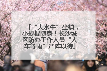 “大水牛”坐镇，小撬棍随身！长沙城区防办工作人员“人车等雨”严阵以待