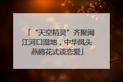 “天空精灵”齐聚闽江河口湿地，中华凤头燕鸥花式谈恋爱