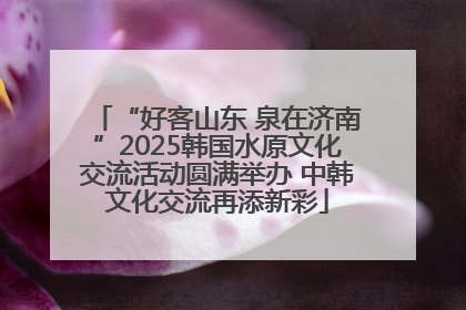 “好客山东 泉在济南”2025韩国水原文化交流活动圆满举办 中韩文化交流再添新彩