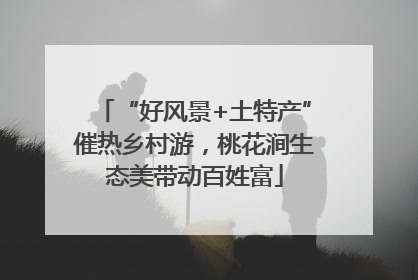 “好风景+土特产”催热乡村游，桃花涧生态美带动百姓富
