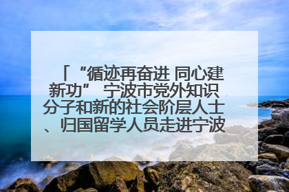 “循迹再奋进 同心建新功” 宁波市党外知识分子和新的社会阶层人士、归国留学人员走进宁波舟山港穿山港区