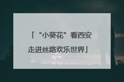“小葵花”看西安走进丝路欢乐世界