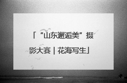 “山东邂逅美”摄影大赛｜花海写生