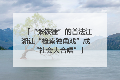“张铁锤”的普法江湖让“检察独角戏”成“社会大合唱”