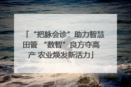 “把脉会诊”助力智慧田管 “数智”良方夺高产 农业焕发新活力