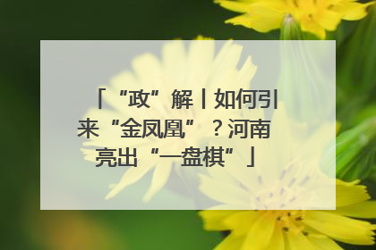 “政”解丨如何引来“金凤凰”？河南亮出“一盘棋”