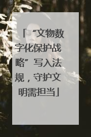 “文物数字化保护战略”写入法规，守护文明需担当