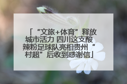 “文旅+体育”释放城市活力 四川这支酸辣粉足球队亮相贵州“村超”后收到感谢信