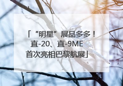 “明星”展品多多！直-20、直-9ME首次亮相巴黎航展