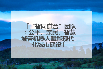 “智同道合”团队：公平、亲民、智慧城管机器人赋能现代化城市建设