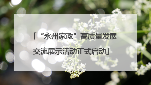 “永州家政”高质量发展交流展示活动正式启动