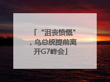 “沮丧愤慨”，乌总统提前离开G7峰会