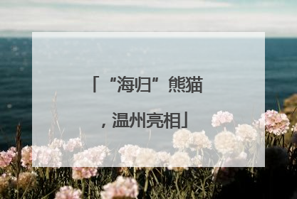 “海归”熊猫，温州亮相