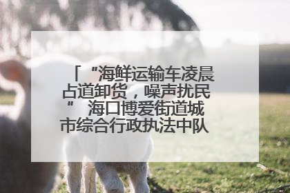 “海鲜运输车凌晨占道卸货，噪声扰民” 海口博爱街道城市综合行政执法中队：将联合交警加强长堤路一带巡逻