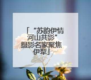 “苏韵伊情 河山共影”摄影名家聚焦伊犁