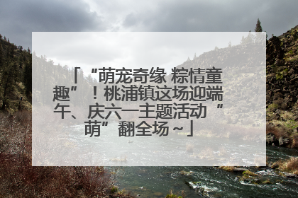 “萌宠奇缘 粽情童趣”！桃浦镇这场迎端午、庆六一主题活动“萌”翻全场～