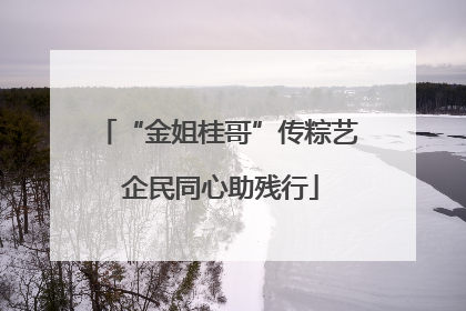 “金姐桂哥”传粽艺 企民同心助残行
