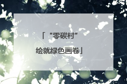 “零碳村” 绘就绿色画卷