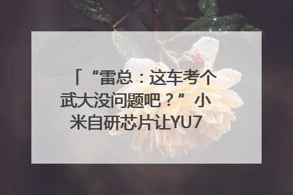“雷总：这车考个武大没问题吧？”小米自研芯片让YU7会学习｜汽车科技