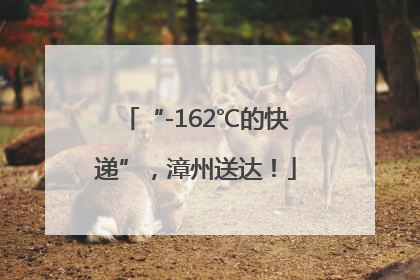 “-162℃的快递”，漳州送达！