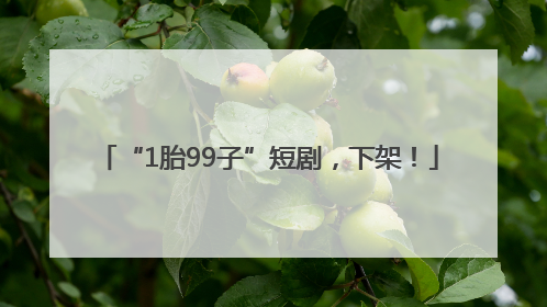 “1胎99子”短剧，下架！