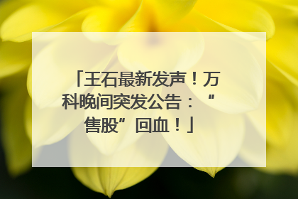 王石最新发声！万科晚间突发公告：“售股”回血！