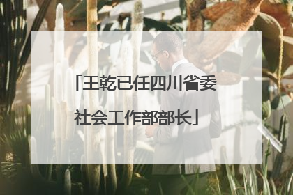 王乾已任四川省委社会工作部部长