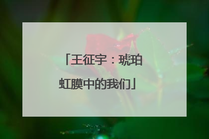 王征宇：琥珀虹膜中的我们