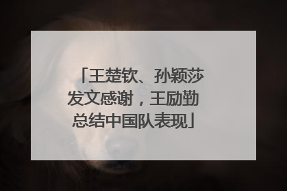 王楚钦、孙颖莎发文感谢，王励勤总结中国队表现